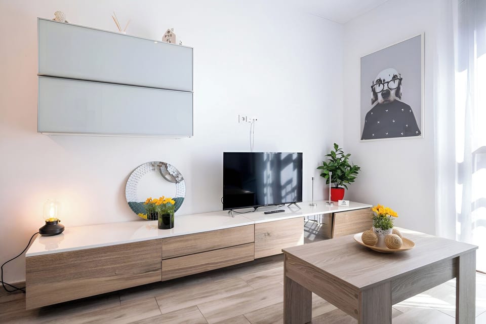 A section of the living room with a TV sitting on a wide, low dresser; you can also see a painting of a dog wearing glasses, along with several small potted plants, and there is a cabinet on the wall.