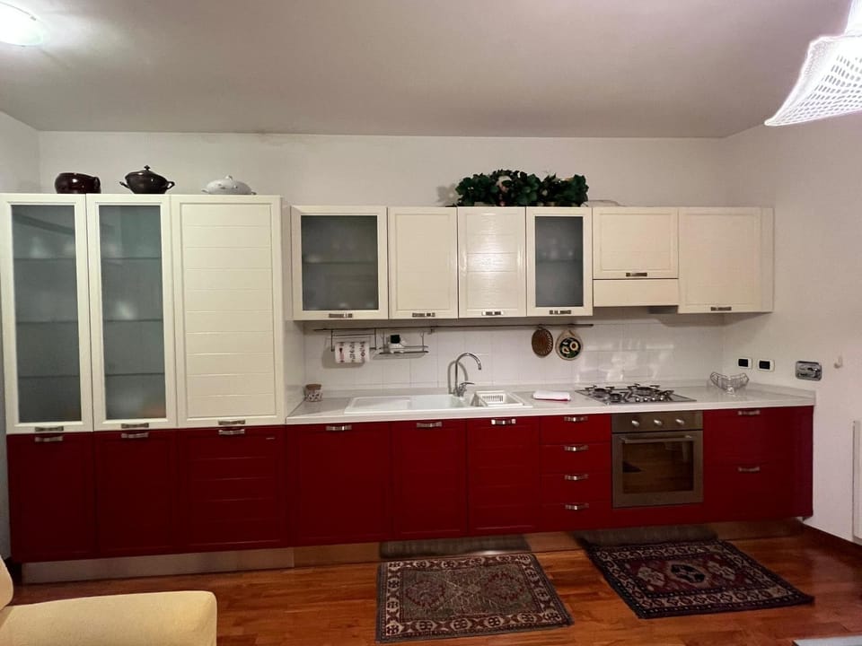 Apartment, Balcony, City View | Private kitchen