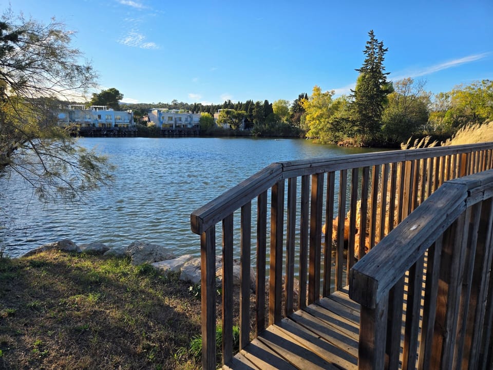 Land view from property
