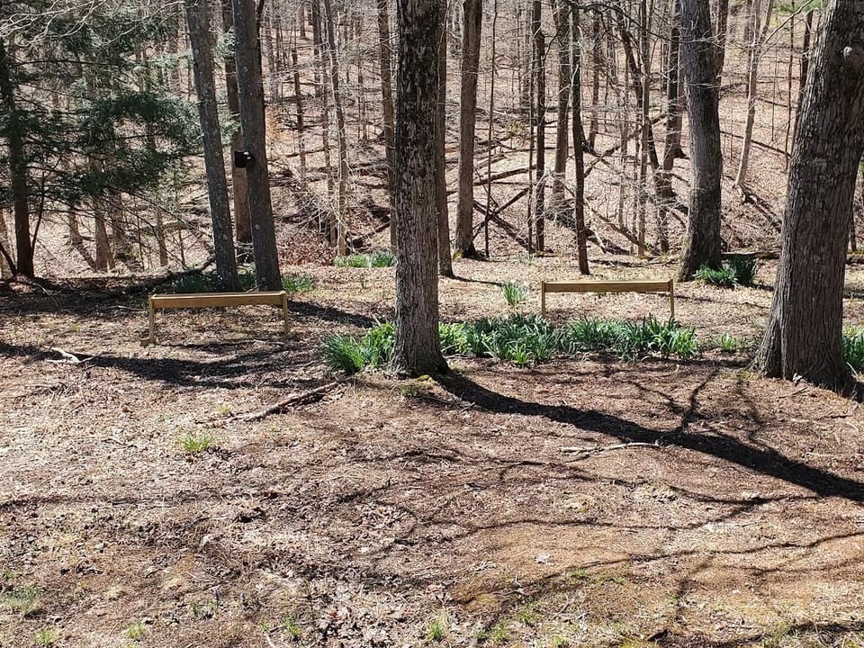 Feeding troughs for deer -- Starter bag of feed provided!