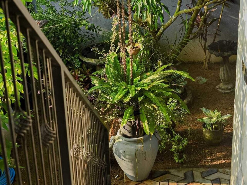 Superior Villa, Balcony, Mountain View | Property grounds