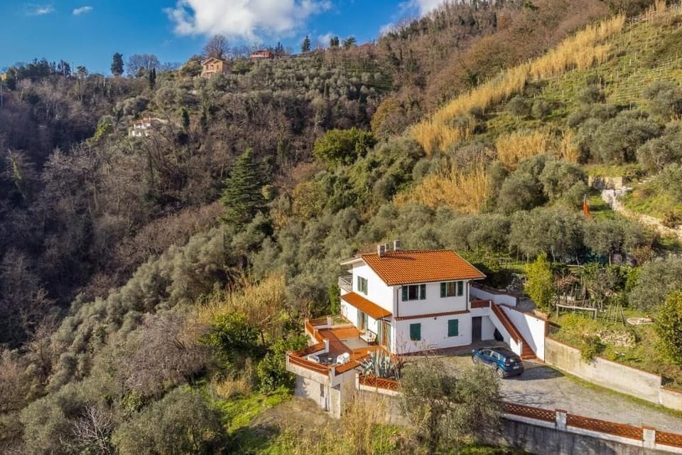 Apartment, Balcony, Garden View | Exterior