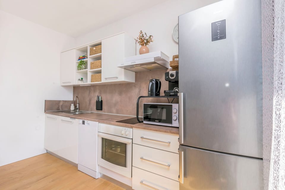 Apartment (A1) | Private kitchen | Fridge, microwave, oven, stovetop