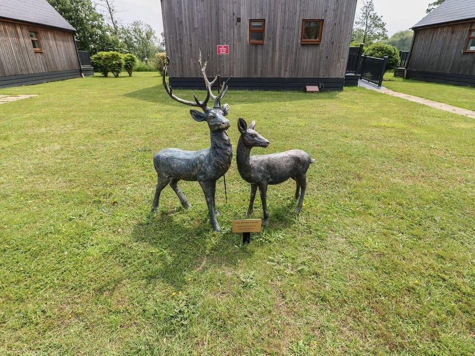 James Ville Marina Lodge 9