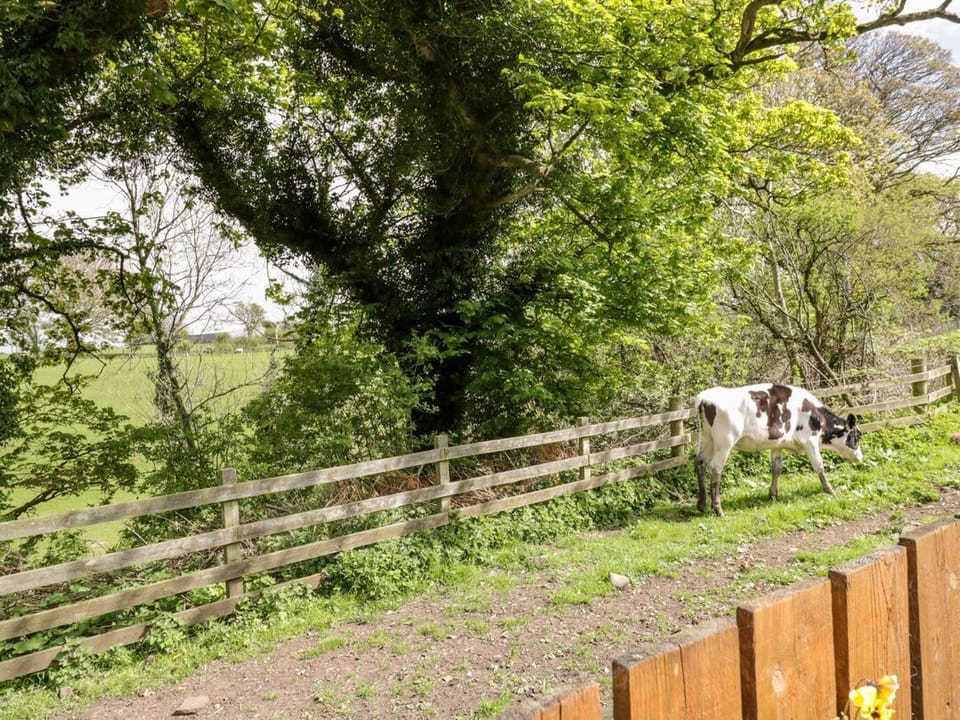 The Old Grainstore