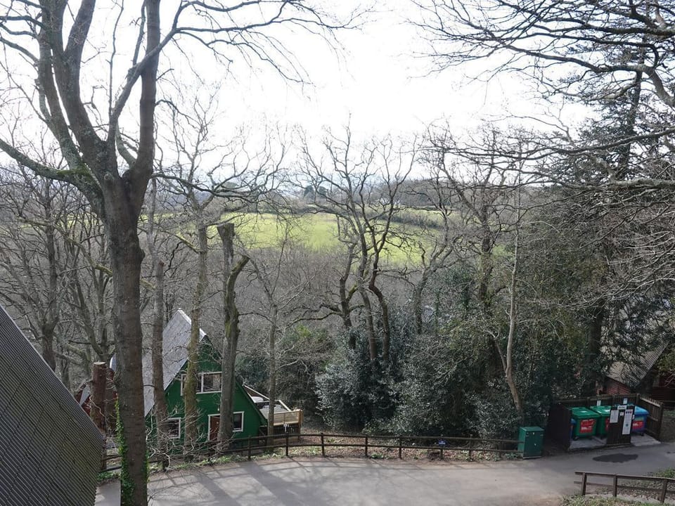 Tor View