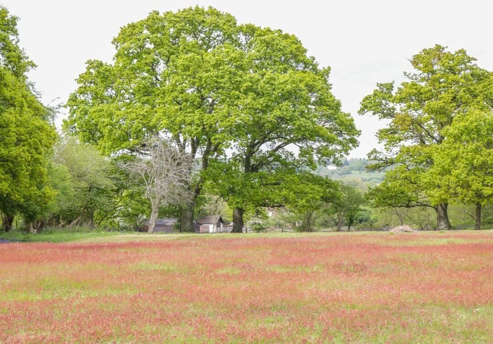 Pheasant Lodge
