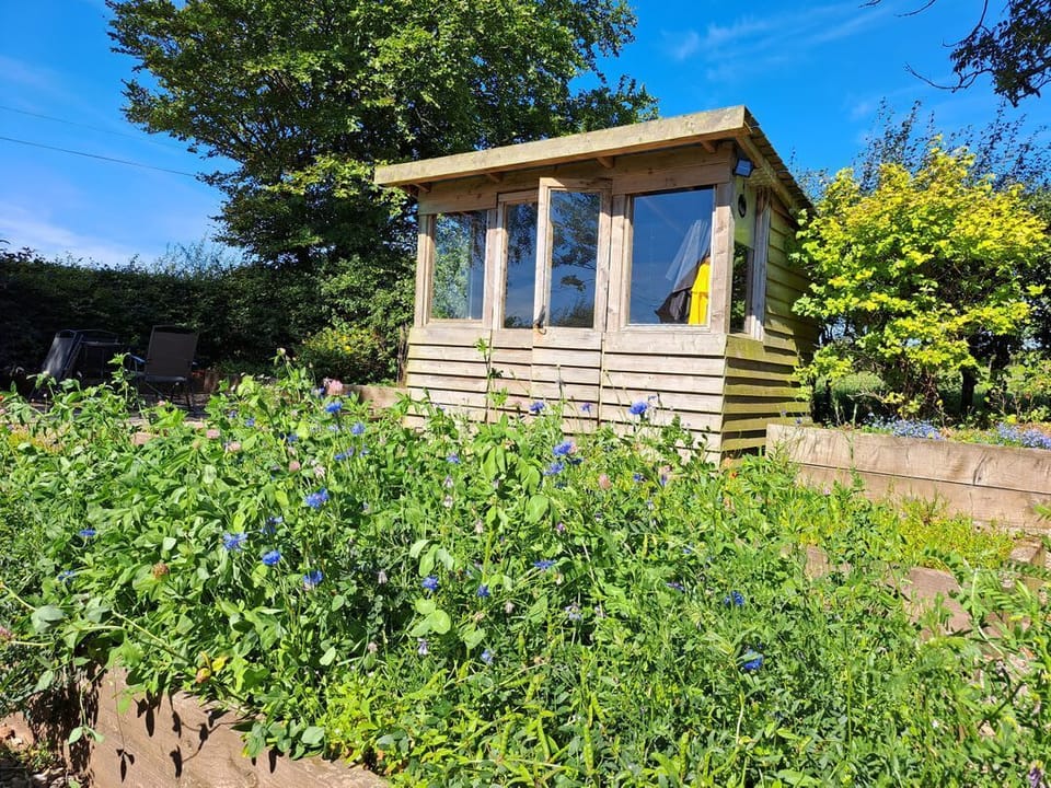 Bogrie Cottage