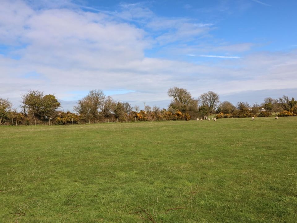 Pip's Barn