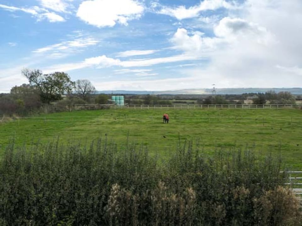 Lillieput Lodge