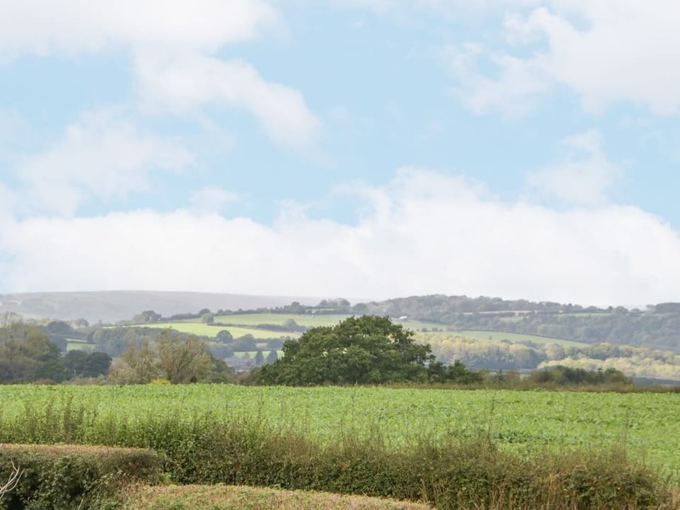 The Pheasant One
