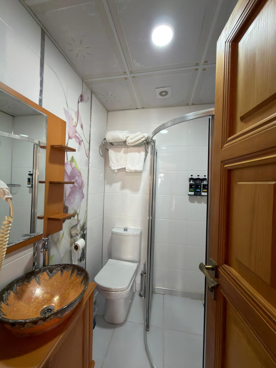 Double or Twin Room | Bathroom | Shower, free toiletries, hair dryer, towels