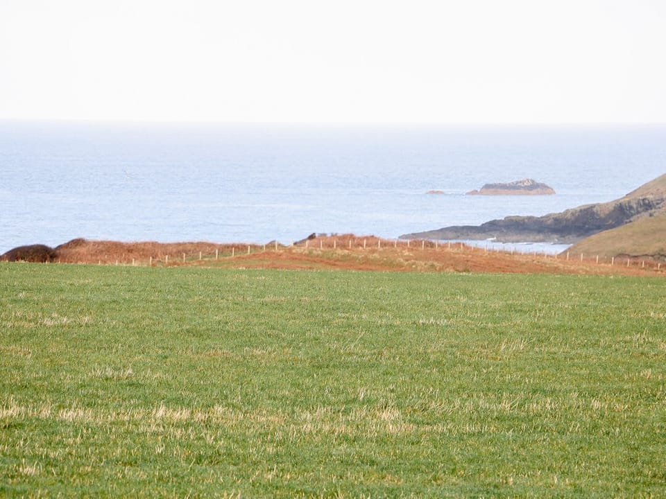 Bryn Eiddon