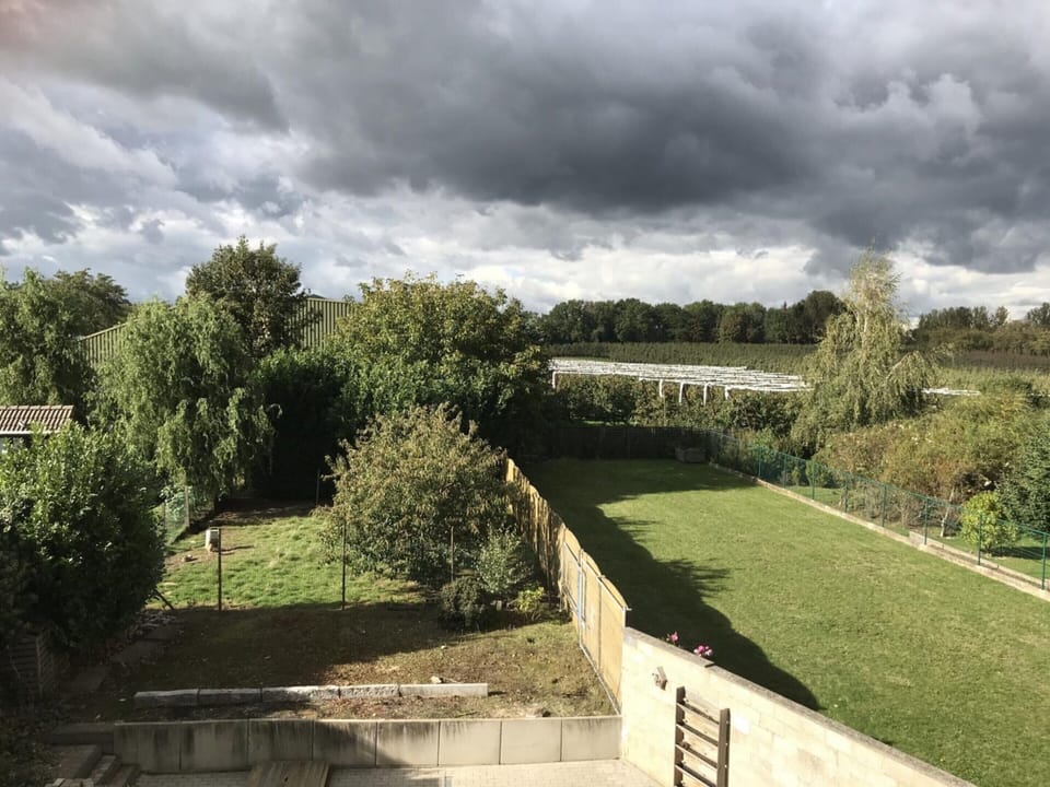 House | View from property