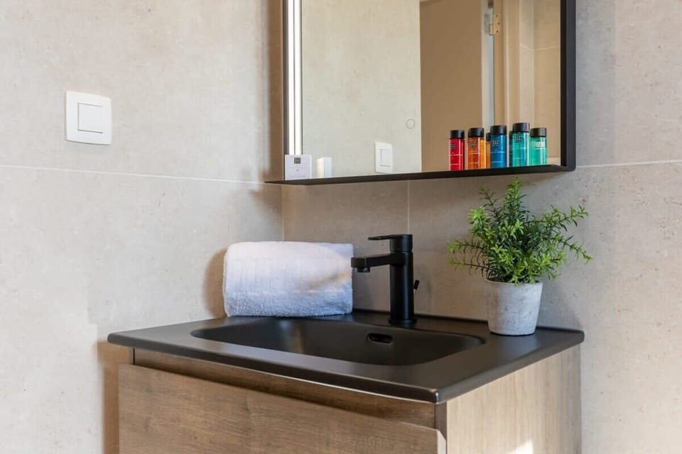 Modern bathroom sink area with a black faucet and a small potted plant.