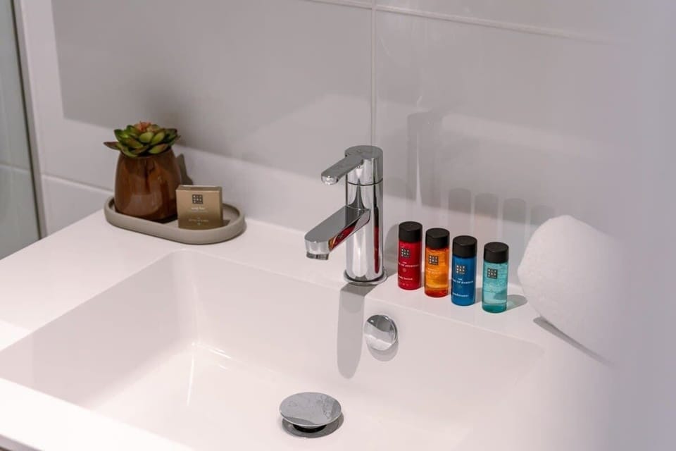 Modern bathroom sink with complimentary toiletries and a decorative plant.