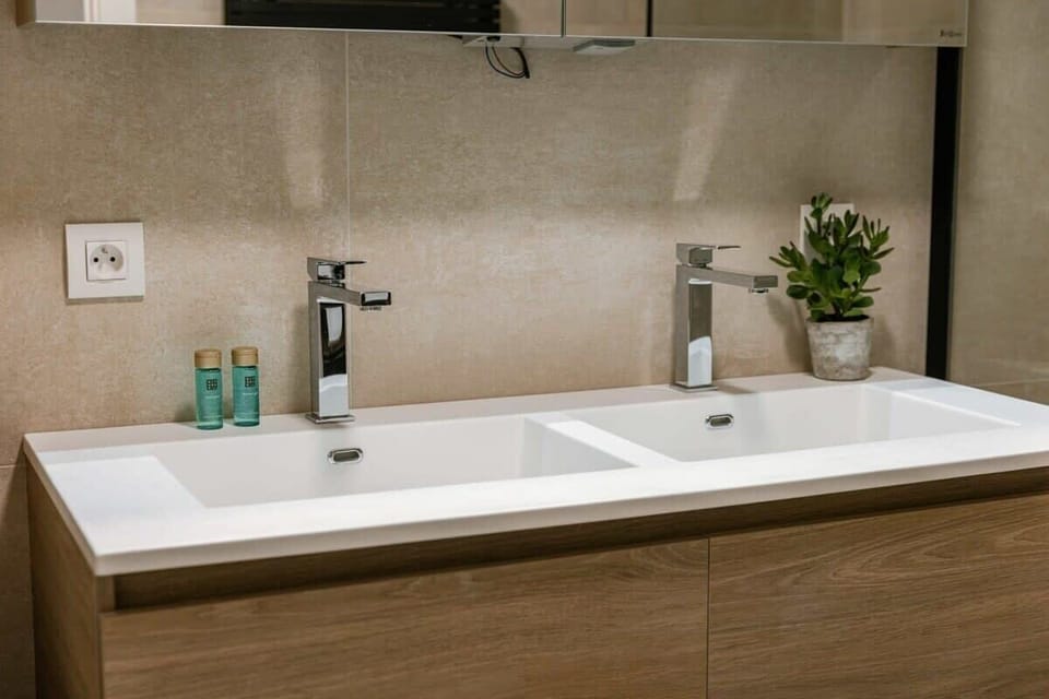 Modern double sink vanity with sleek chrome faucets and a small potted plant.