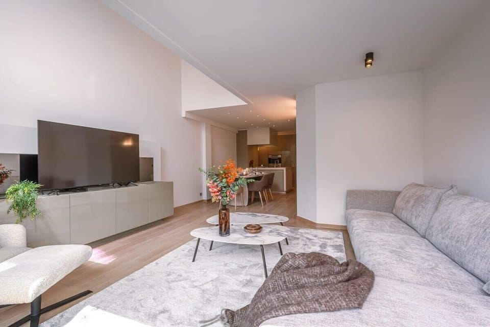 Scandinavian decorated and spacious living room with large TV