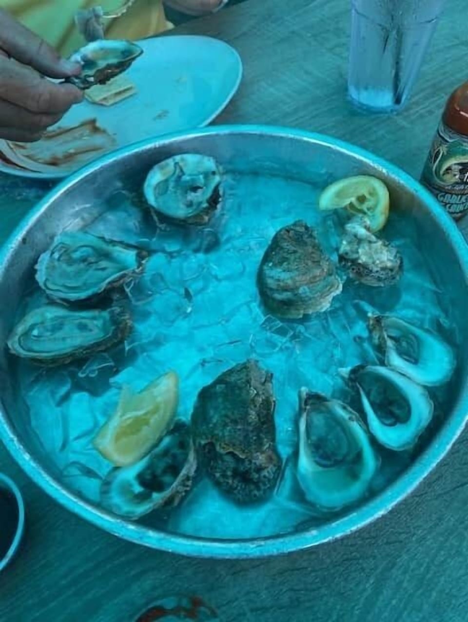 Oysters at local pub