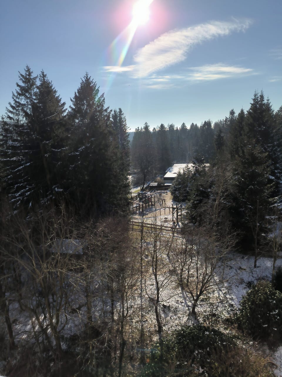 Miscellaneous