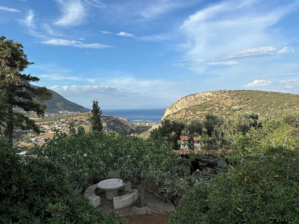 View from property