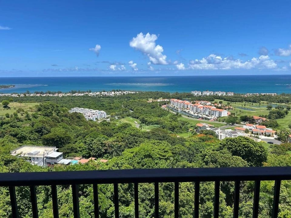 Wake up to sweeping views of the Caribbean Sea, rolling hills, and vibrant island scenery right from your balcony.