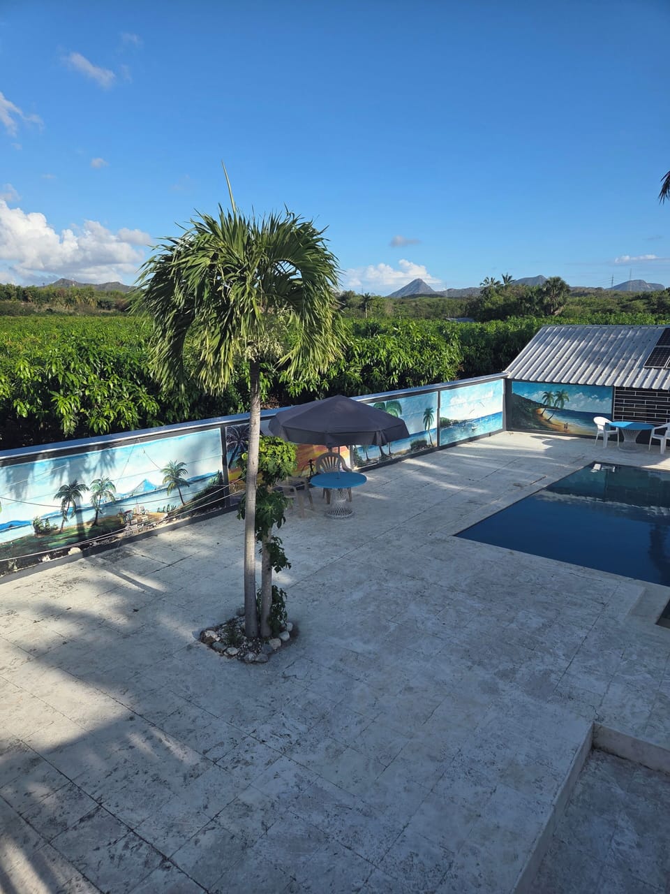Outdoor pool