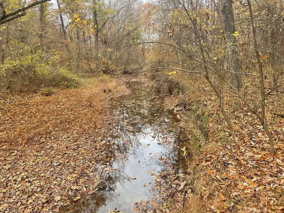 Stream that passes through the community. Trees are marked heading to it. 