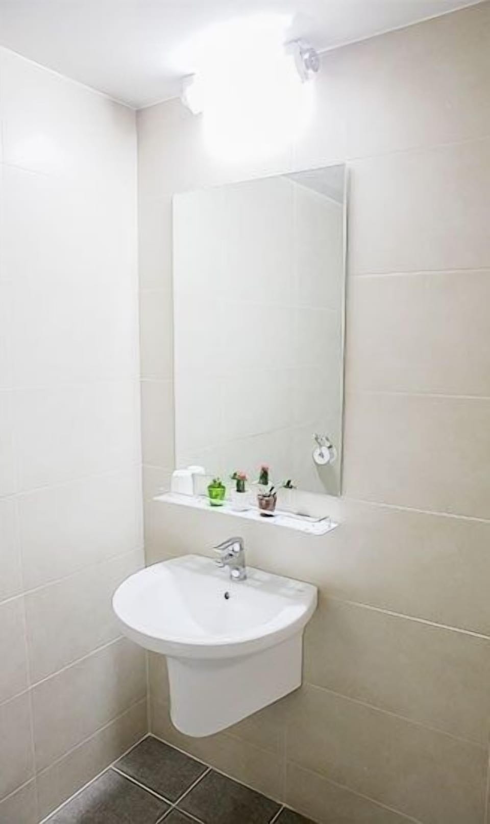 Deluxe Twin Room | Bathroom sink