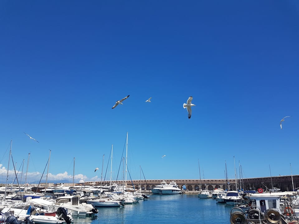 Marina