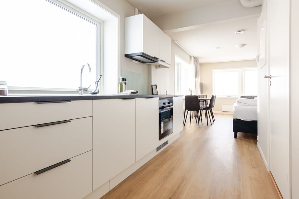 The studio has a fully equipped kitchen