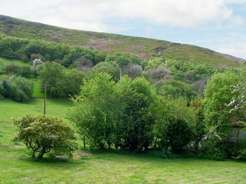 The Wilderness