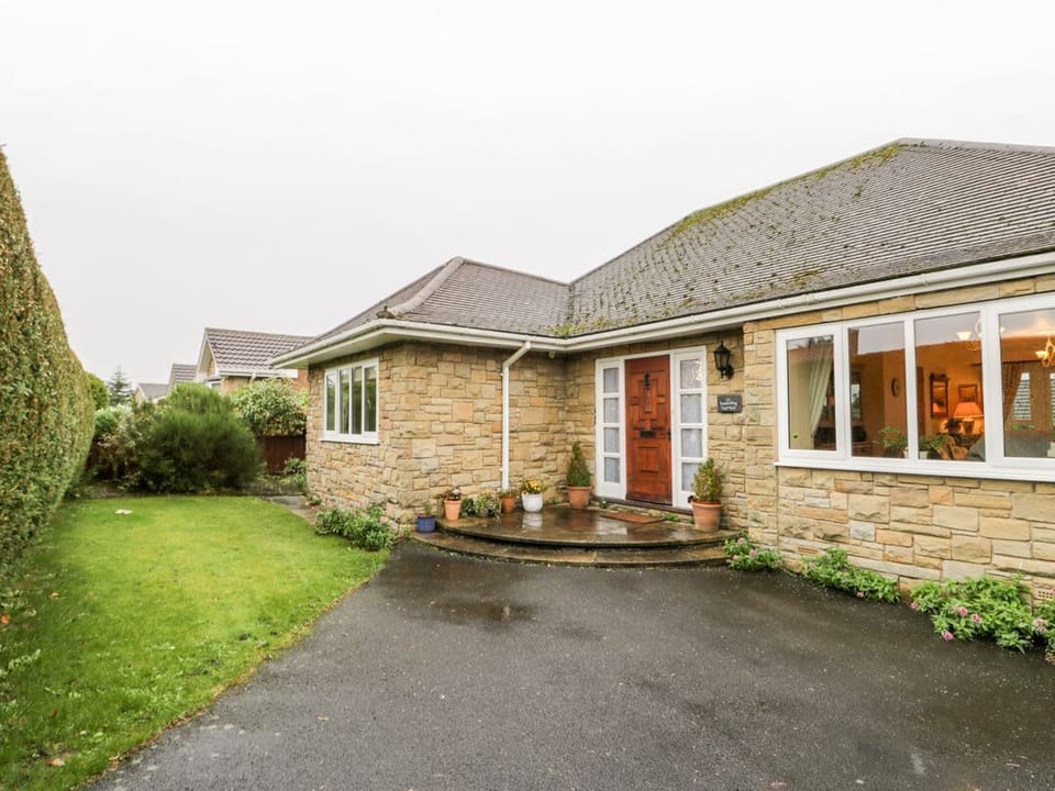 Sanderling