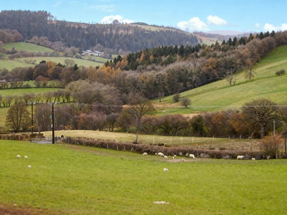 Tyn Y Celyn Canol