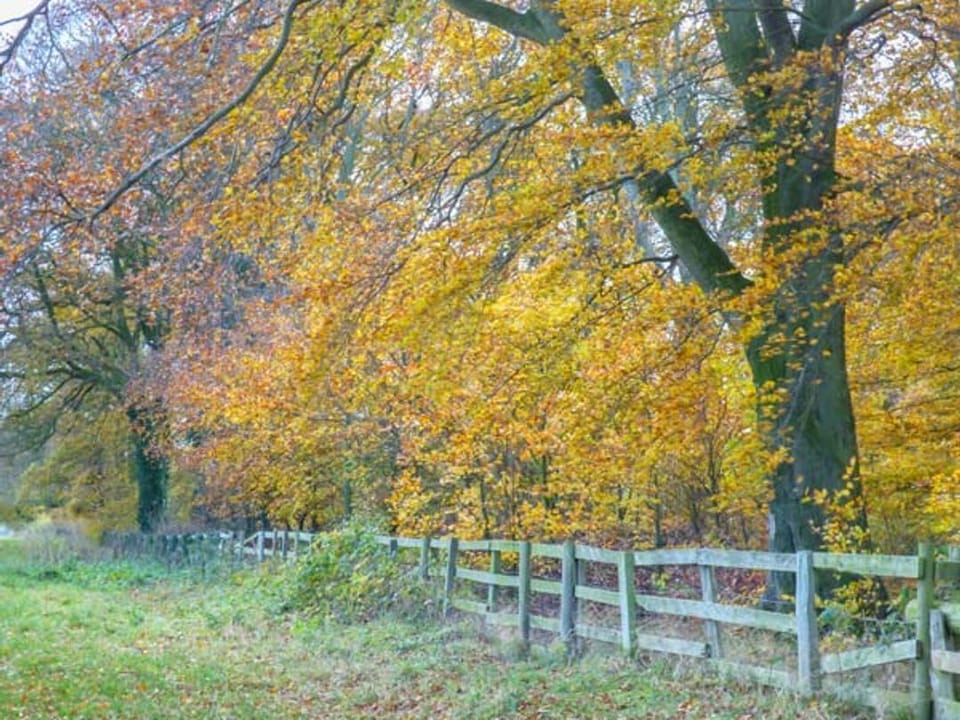 Woodside Cottage
