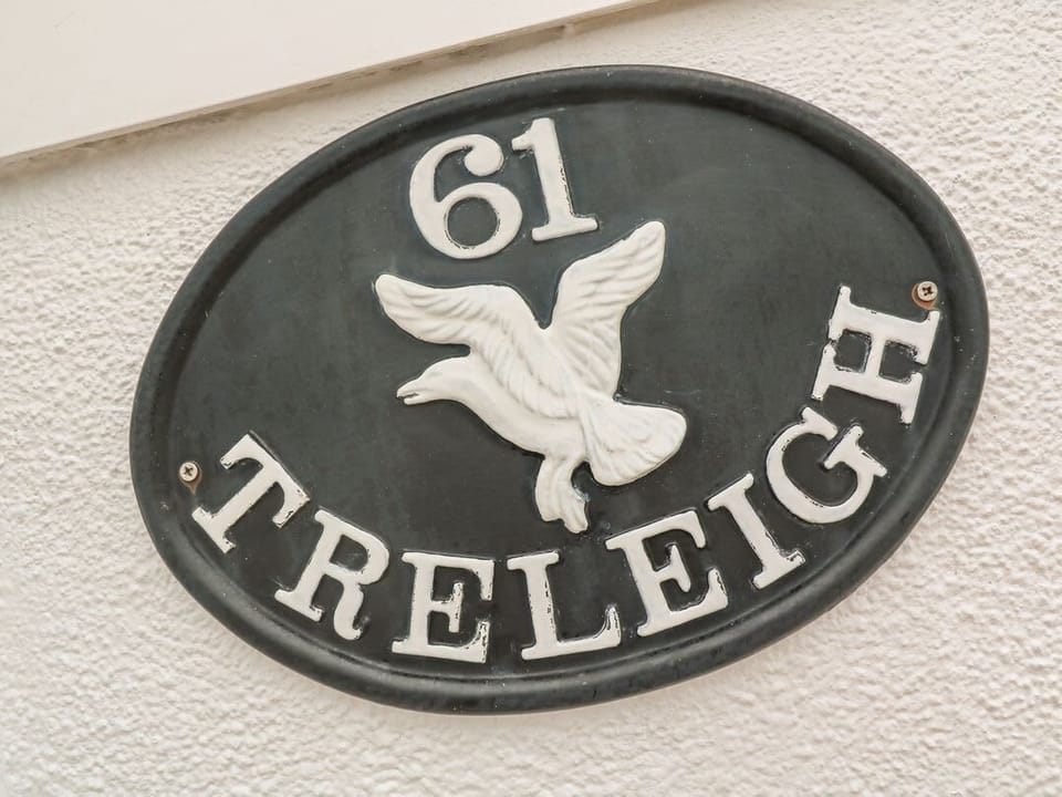 Treleigh