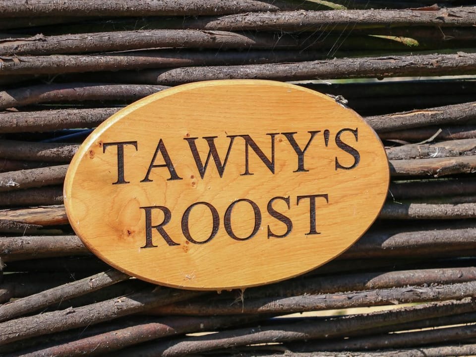 Tawny's Roost