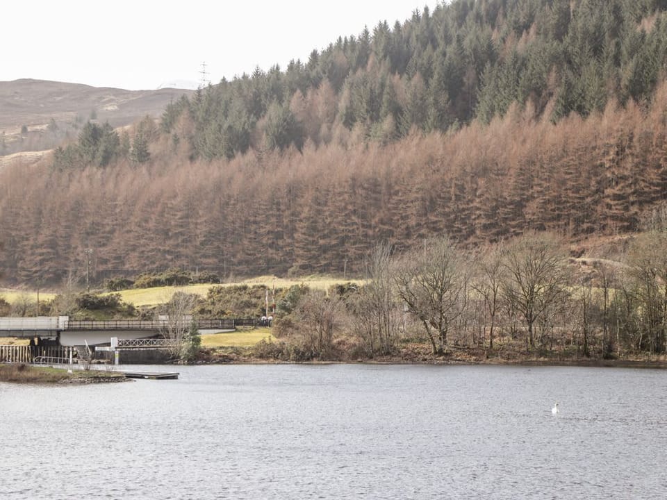 Owl Lodge