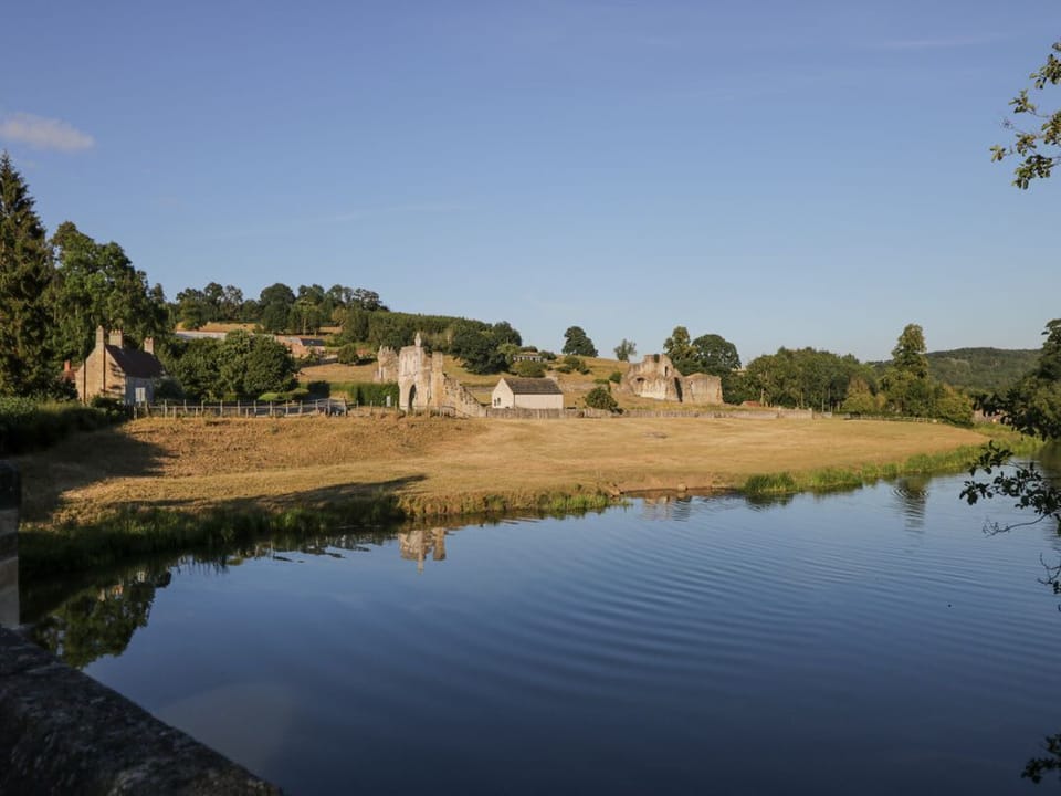 Ginger Fox Lodge