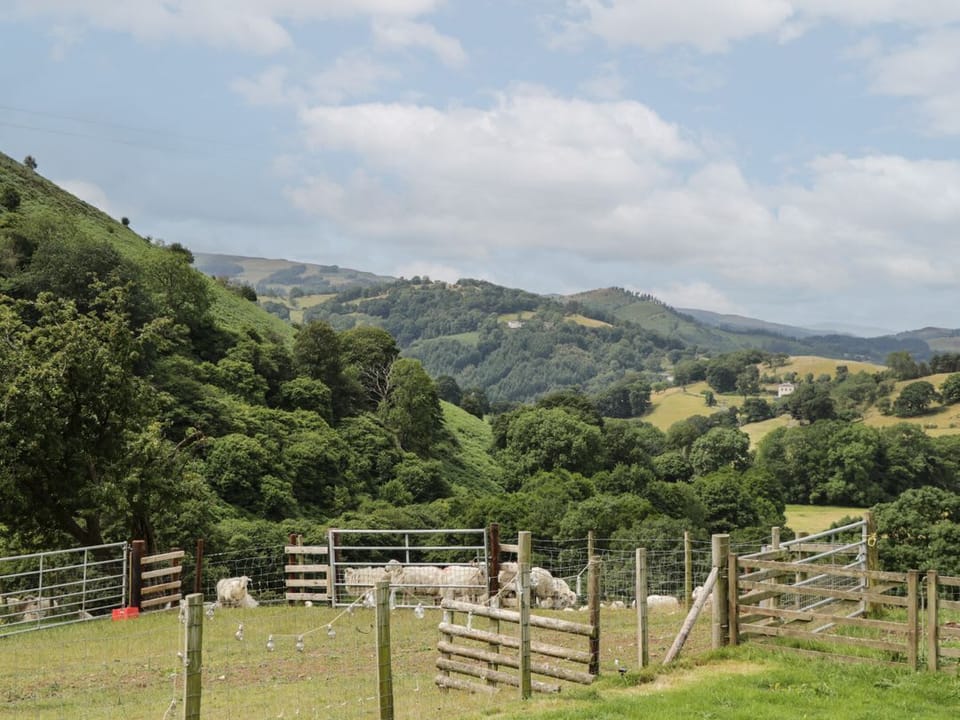 Tan Y Castell Shepherds Hut