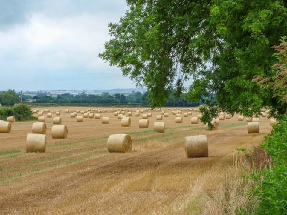 The Granary