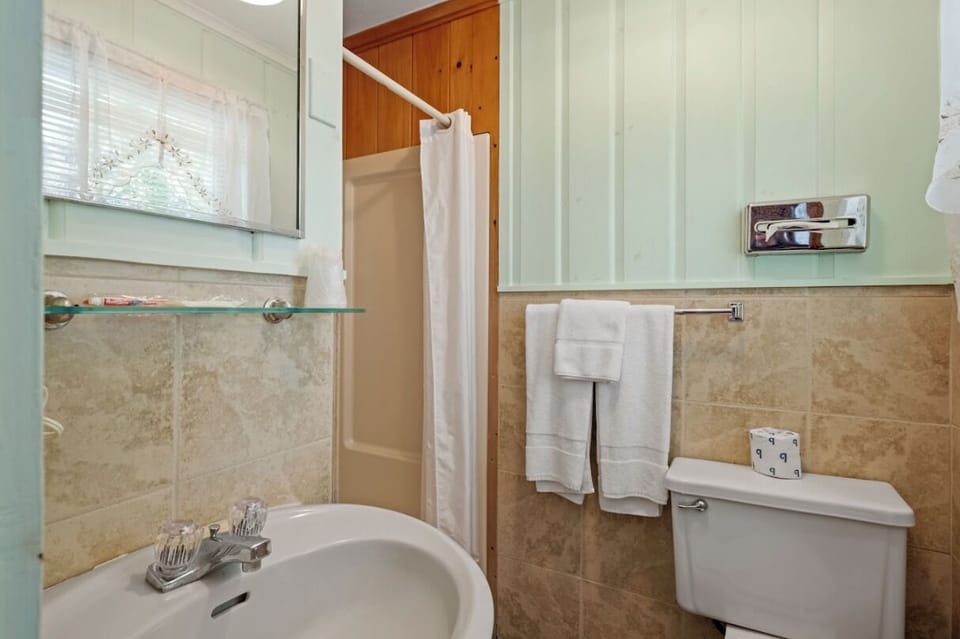 Shower, free toiletries, shampoo, toilet paper