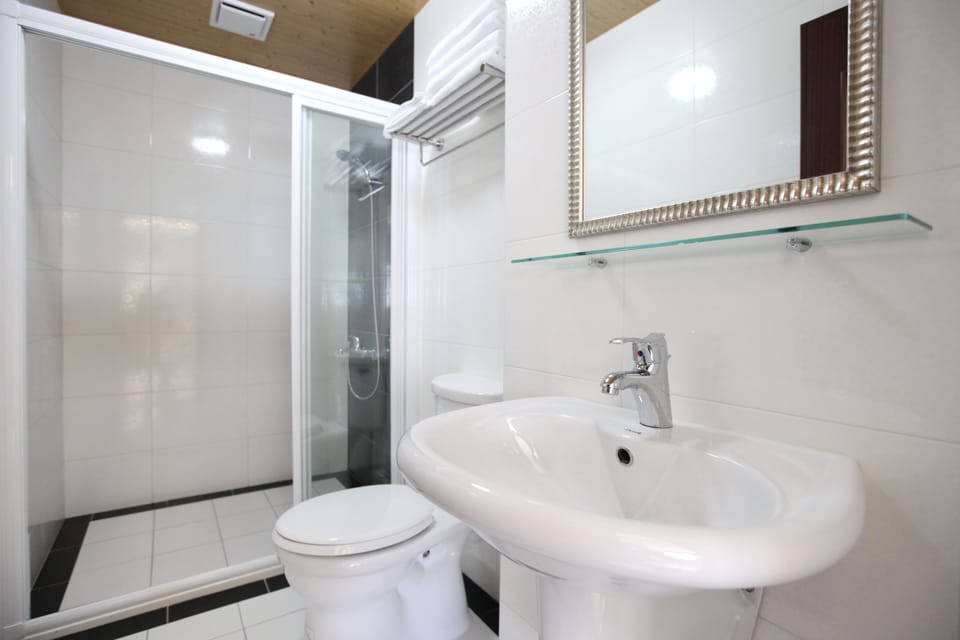 Shower, rainfall showerhead, free toiletries, hair dryer