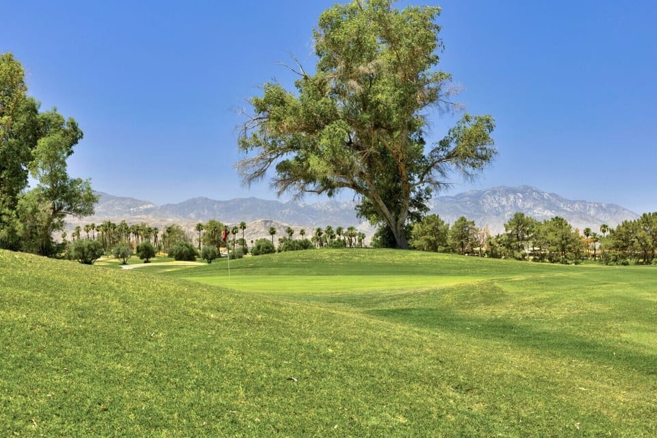Scenic desert mountain backdrop from the property