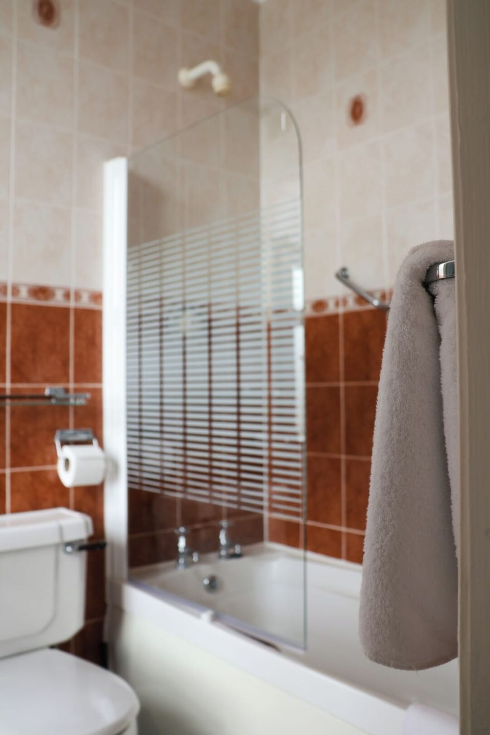 Combined shower/tub, free toiletries, hair dryer, towels