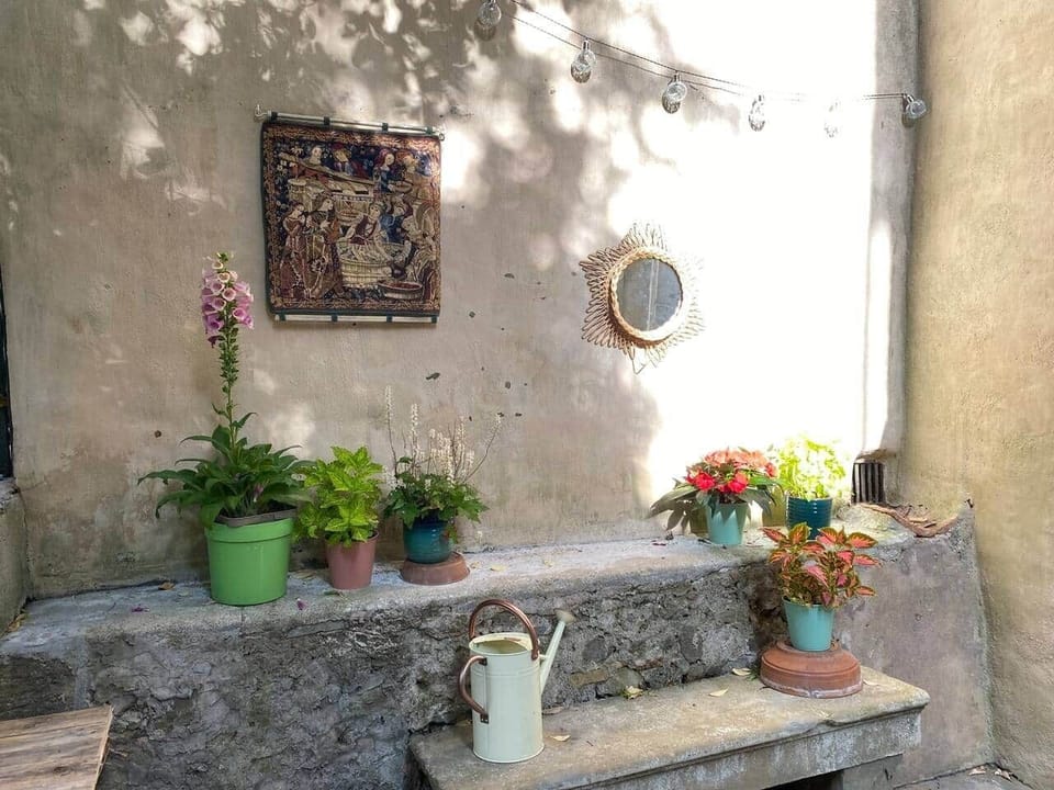 Rustic garden corner with vibrant plants, a vintage watering can, and artistic touches for relaxatio