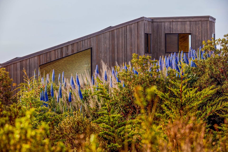 Experience the beauty of vibrant coastal flora surrounding your getaway, enhancing the natural charm of your stay.