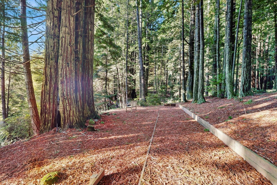 Wander along the serene trails in your yard, surrounded by towering redwoods, bringing you closer to nature’s beauty.