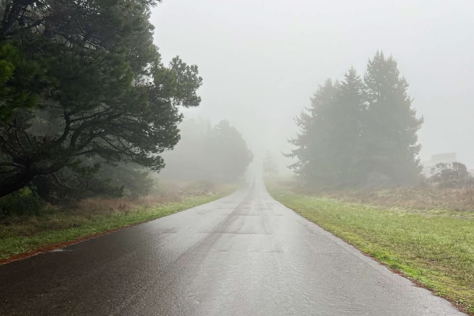 Venture down the misty road that leads to adventure, where tranquil landscapes and the coastal charm of Sea Ranch await your exploration.