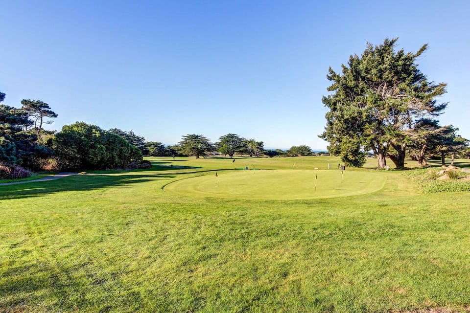 Picture yourself practicing your putt on this inviting green, surrounded by the tranquil beauty of Sea Ranch, where nature enhances your game.